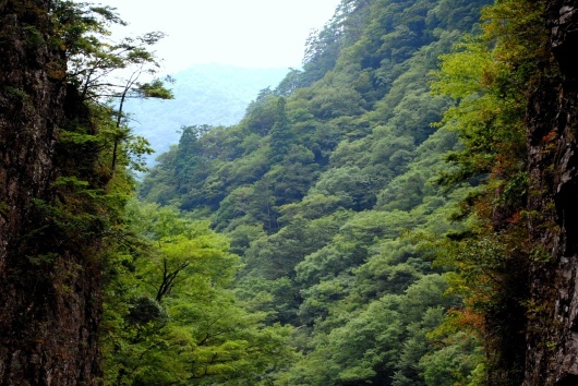 f0361605_23485714.jpg