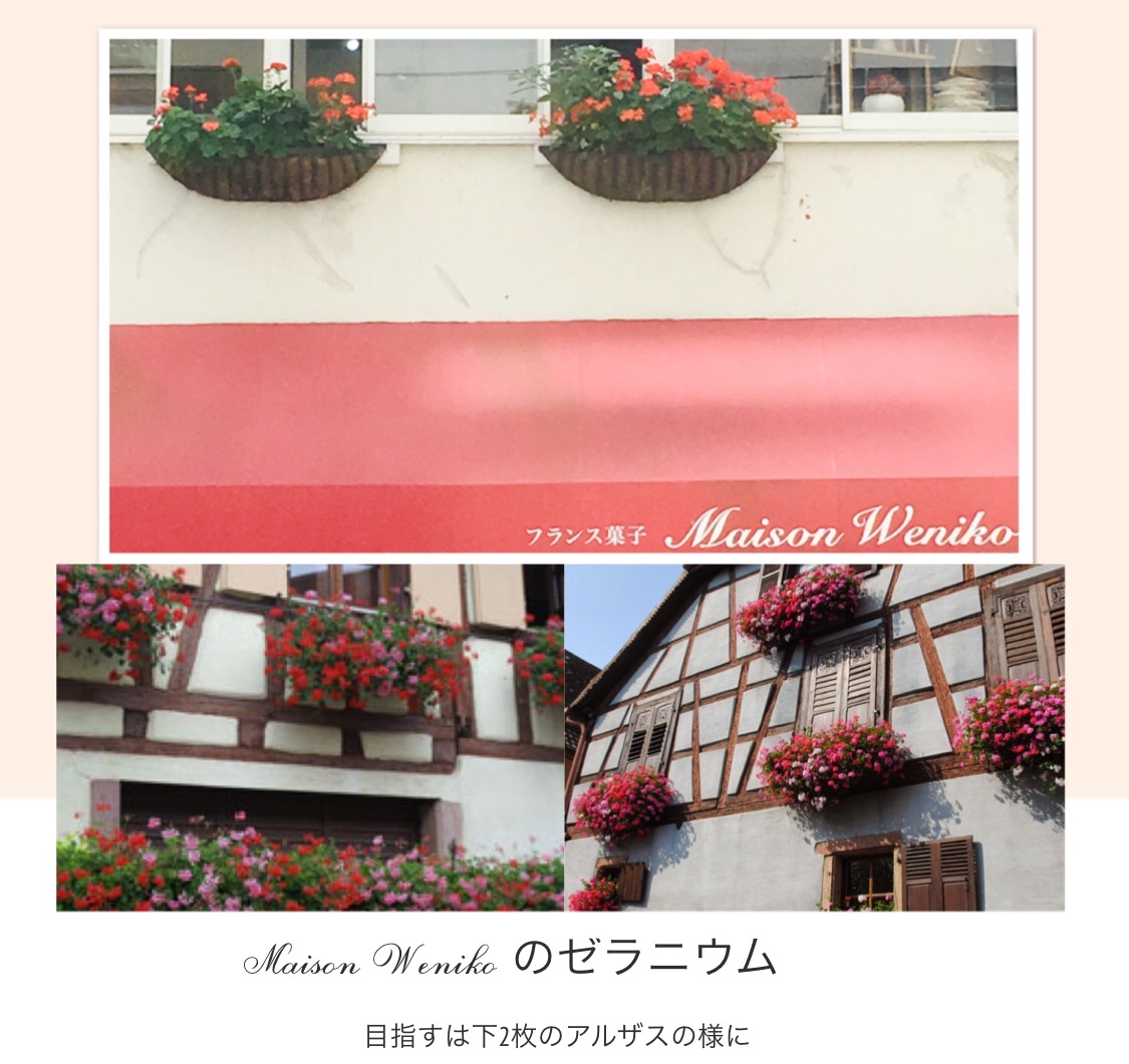 お知らせ_d0154707_11142259.jpg