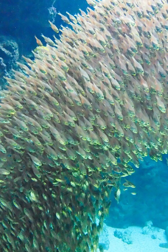 b0237408_2012040.jpg