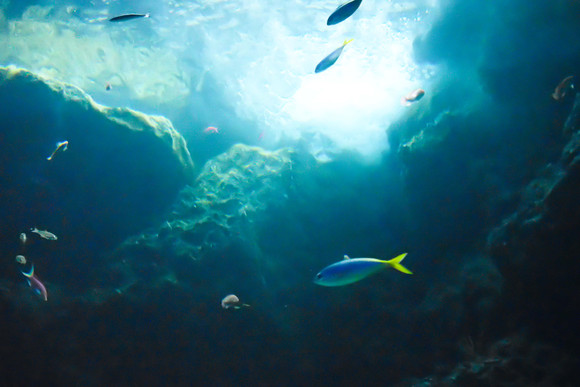 b0237408_2014518.jpg