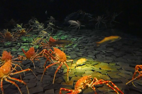 b0237408_2024254.jpg