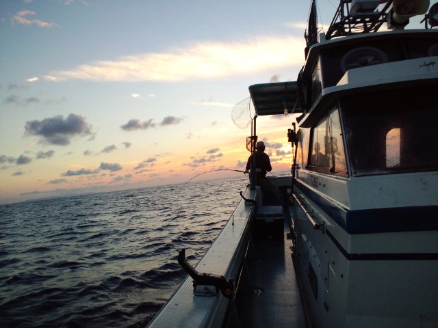 e0113508_9122395.jpg