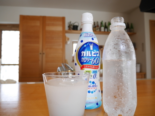ミドボンでおいしい炭酸水をつくってみた 水草新世界