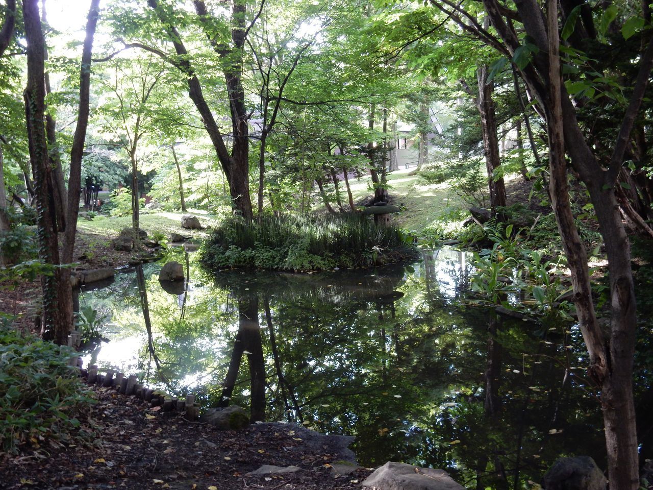 久々の北大_c0025115_23360785.jpg