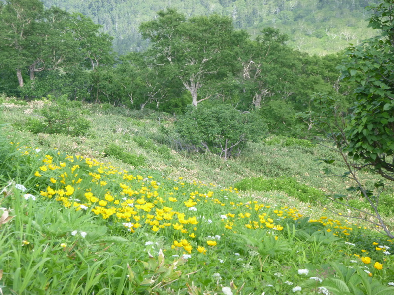 d0170615_19224100.jpg