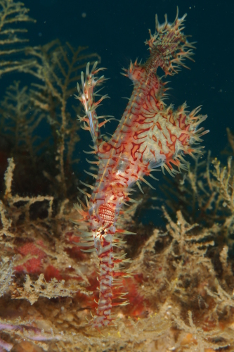 c0115421_21262930.jpg