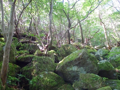 f0193521_12552756.jpg