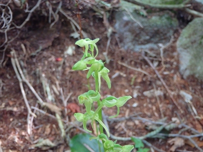 f0193521_12583060.jpg