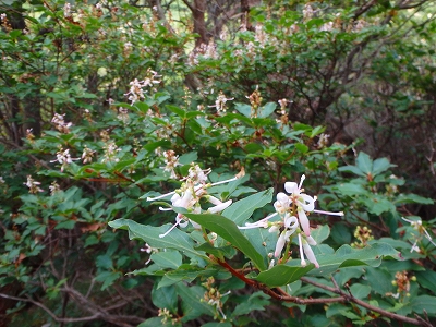 f0193521_12595514.jpg