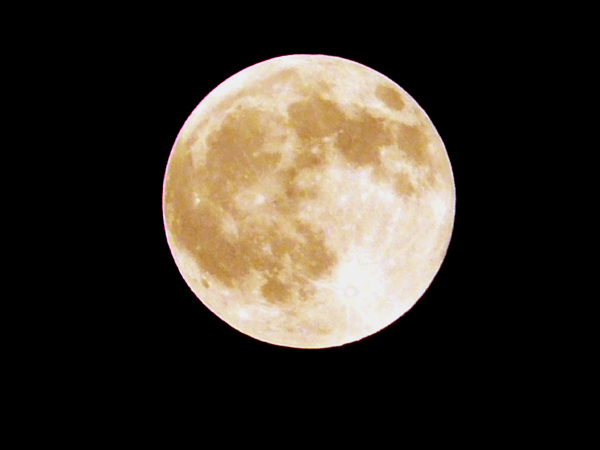 c0147123_21565314.jpg