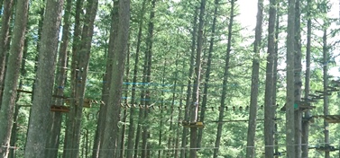 c0109726_1403590.jpg
