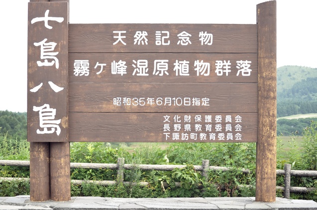a0248728_22584871.jpg