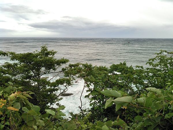 台風7号報告。増水で「神滝」が大迫力！_b0206037_08091727.jpg