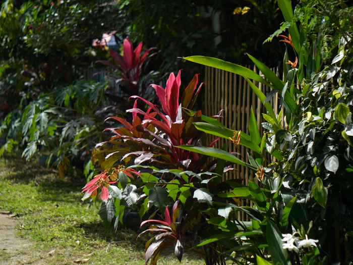 b0359548_17475000.jpg