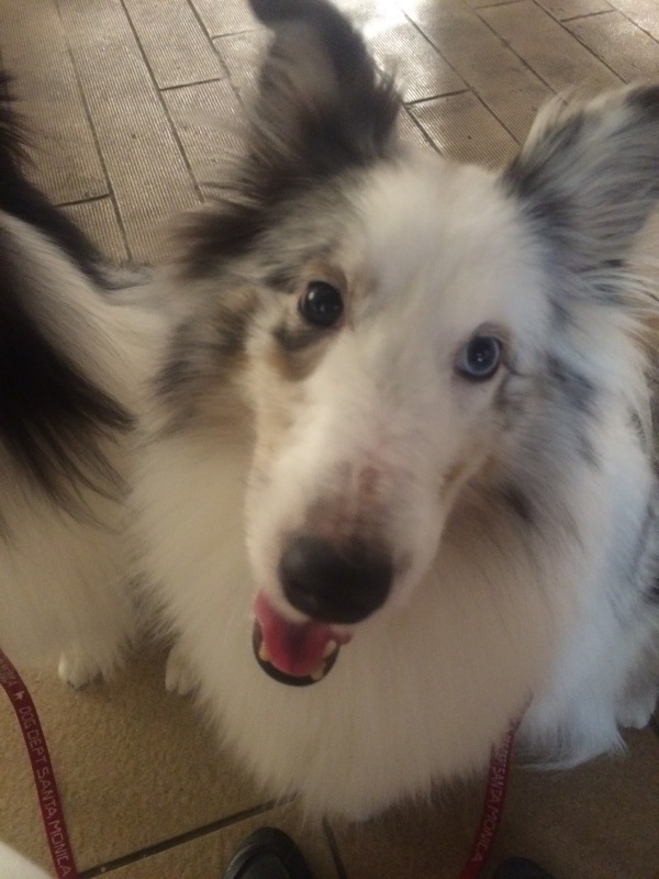 d0230653_00025056.jpeg