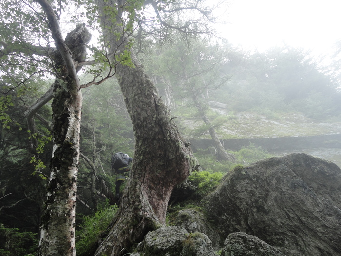 南アルプス 離山 、鳳凰三山_c0192058_15213192.jpg