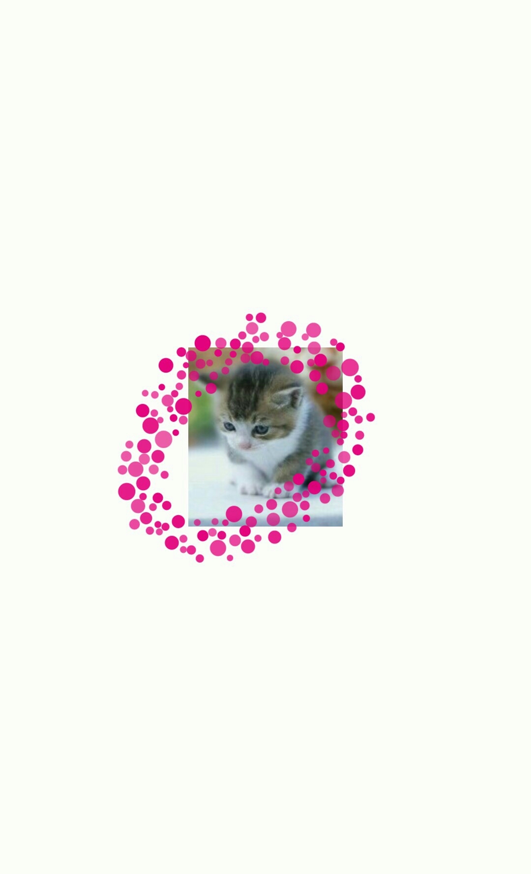 恋の季節_b0328361_22545970.jpg
