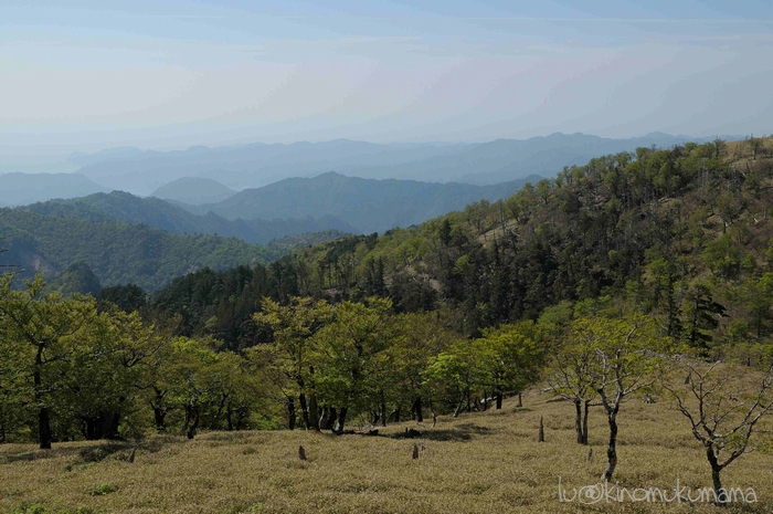 和気あいあい楽しいハイキング（大台ヶ原）_c0246261_16305191.jpg