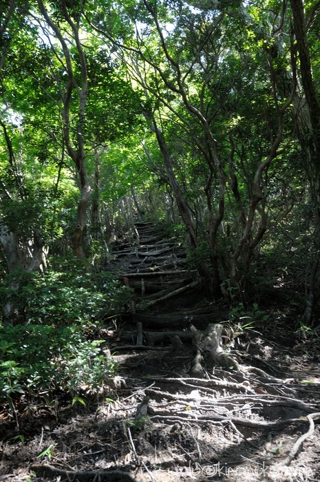 c0246261_17290828.jpg