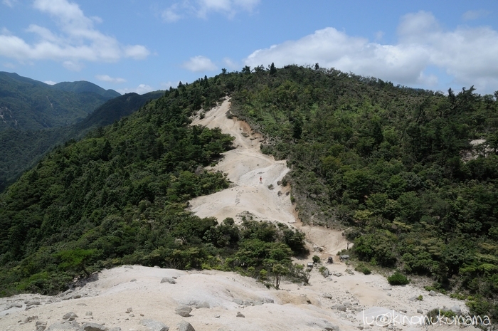 c0246261_17361323.jpg