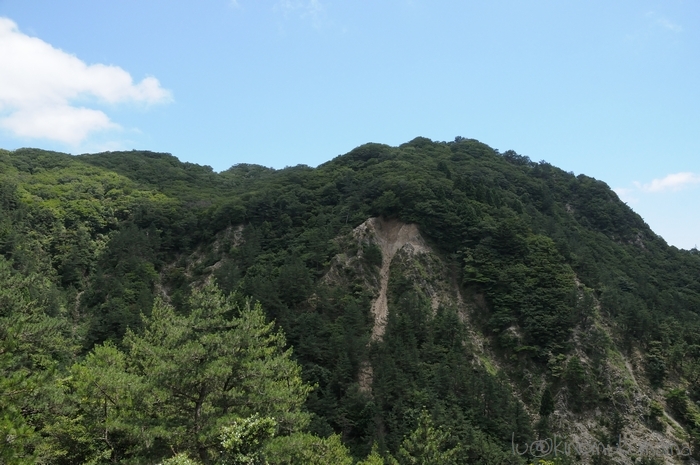 c0246261_17361324.jpg