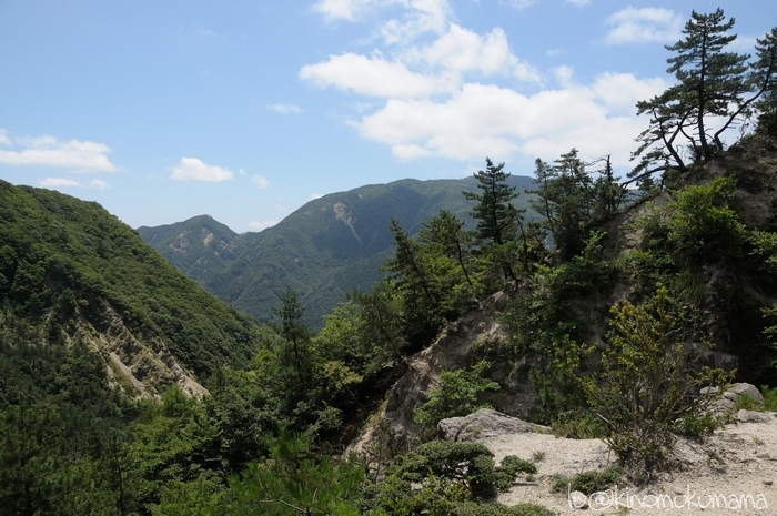 c0246261_17361346.jpg