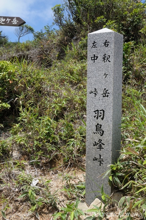 c0246261_17361423.jpg