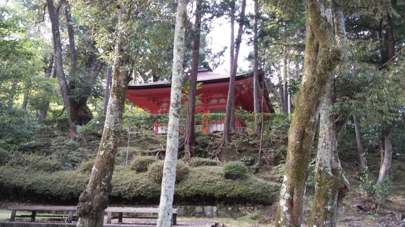 西国十三番　石山寺　そして追記_b0366766_12342937.jpg