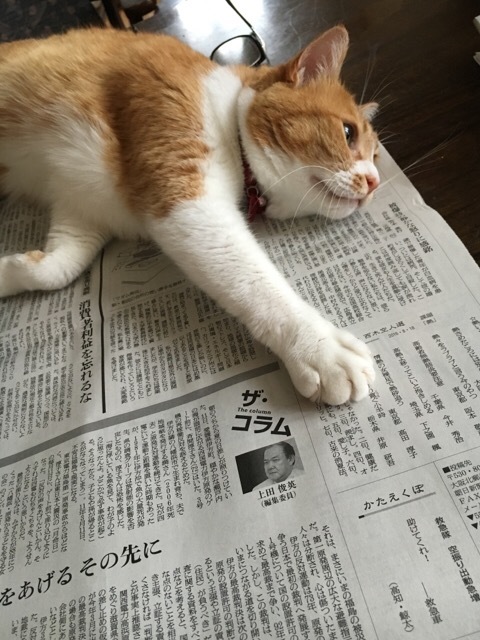 丁寧に暮らす_f0363168_12070694.jpeg