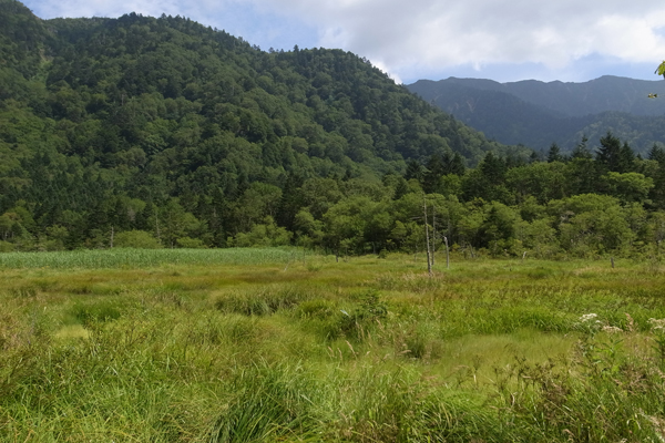 信州高原紀行　– トンボ編 –_e0167571_1141367.jpg