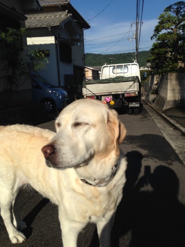 f0315081_22423228.jpeg