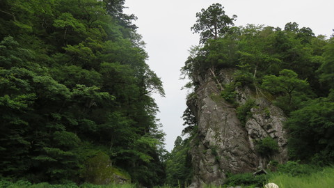 e0197884_15244563.jpg