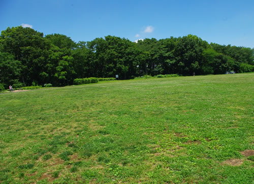 b0123486_12273568.jpg
