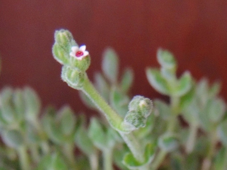 c0265095_21302761.jpg