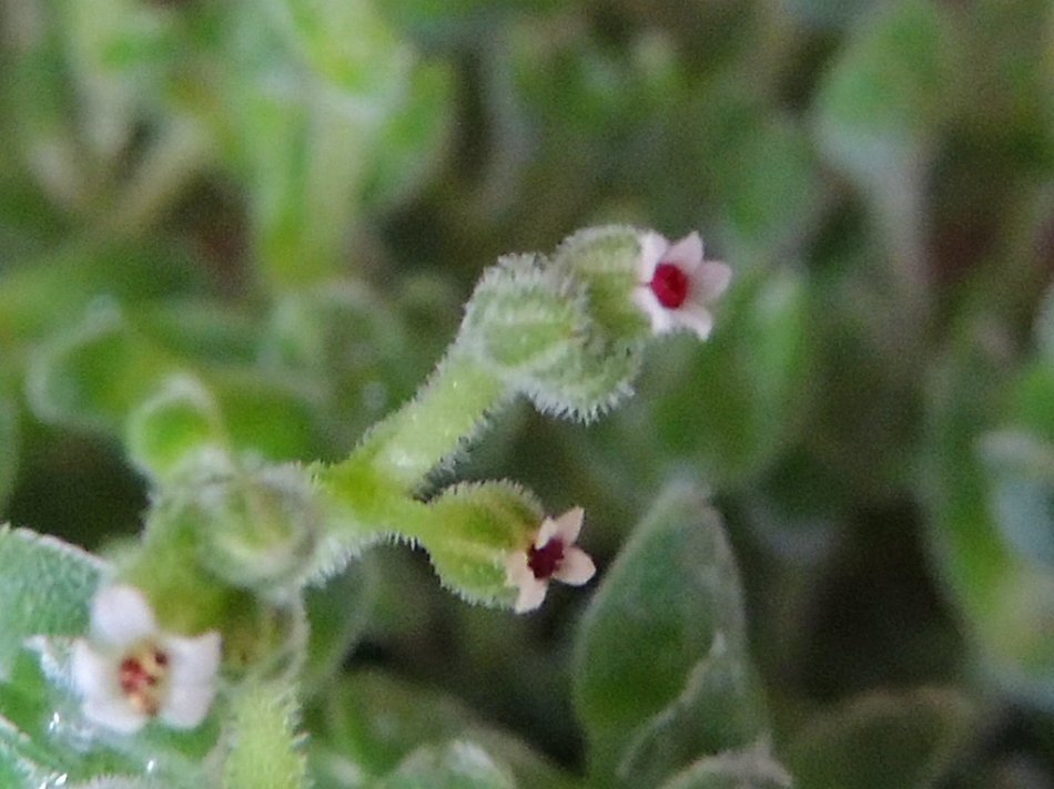 c0265095_21303542.jpg