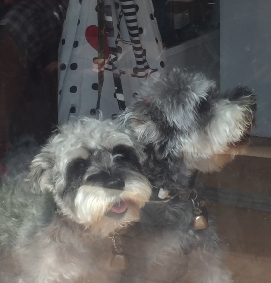 b0188998_13471796.jpeg