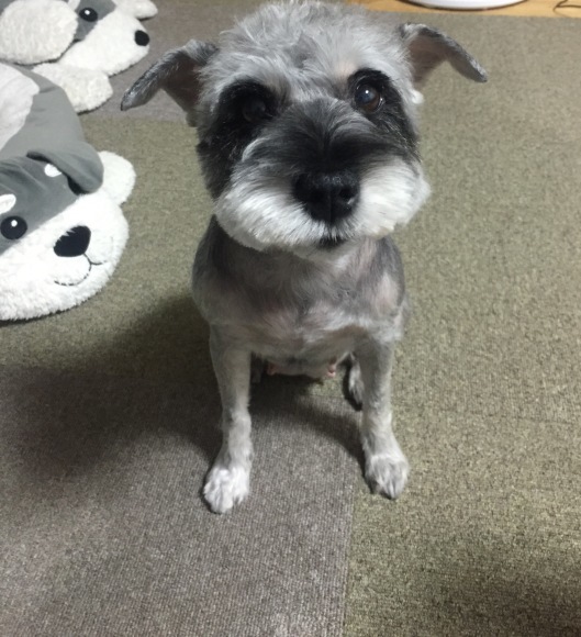b0188998_22102970.jpeg