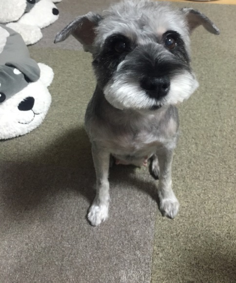 b0188998_22103899.jpeg