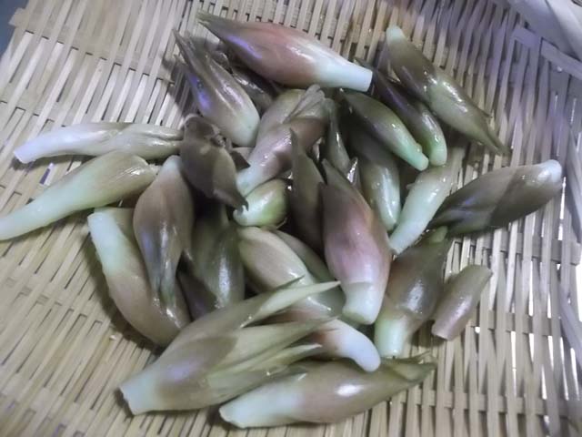 嫁農園の野菜&なすとトマトのチーズ焼き_f0019498_21453319.jpg