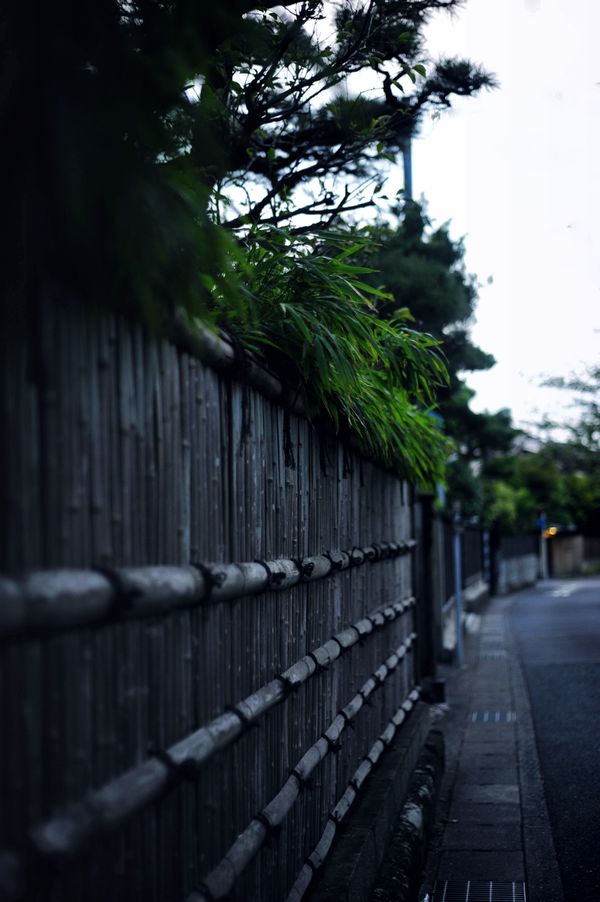 a0144301_15195670.jpg