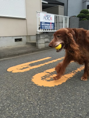 朝のごあいさつ☆_a0134004_1956827.jpg