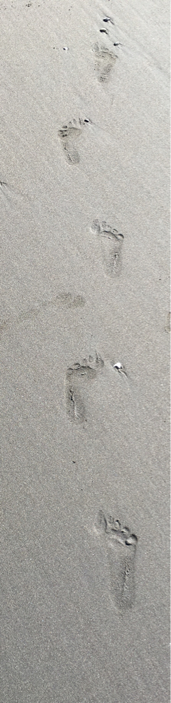c0243807_12251635.jpg