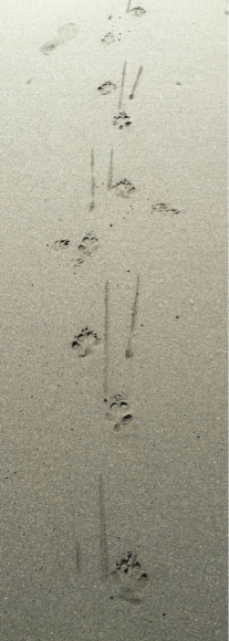c0243807_12251648.jpg