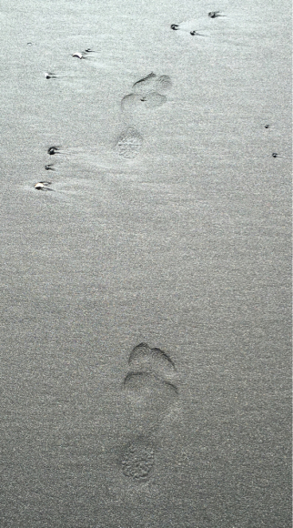 c0243807_12251946.jpg