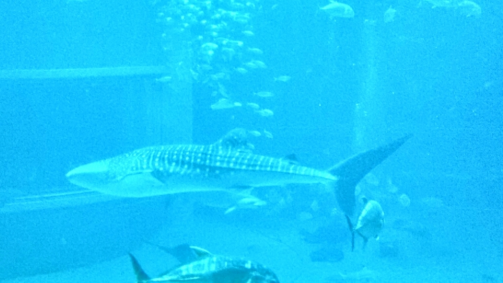 e0175311_00344790.jpg