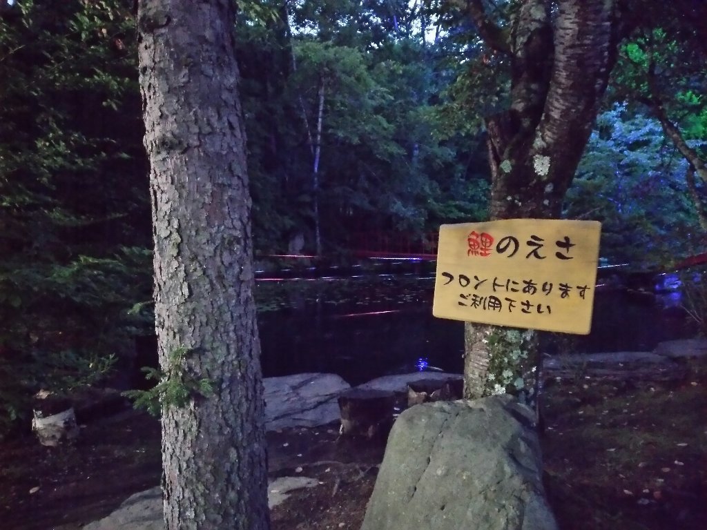 b0128821_00013256.jpg