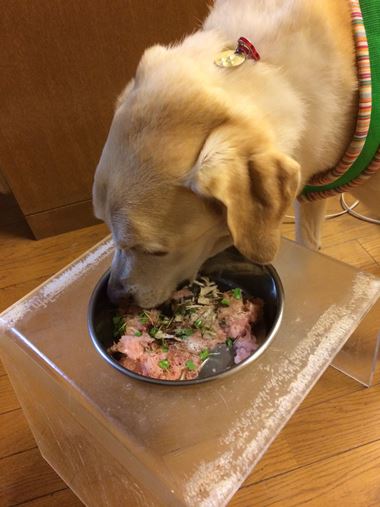 “手作りご飯セミナー”が京都で開催されますよ～！_c0114121_23443329.jpg