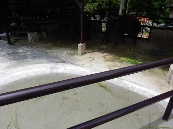 d0281322_15203926.jpg