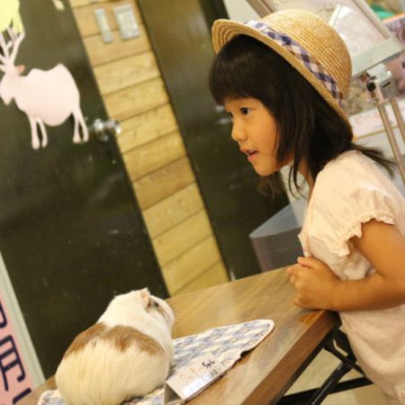 子ども動物園でテンジクネズミと遊び、小動物ゾーンに移動_e0108126_19115239.jpg