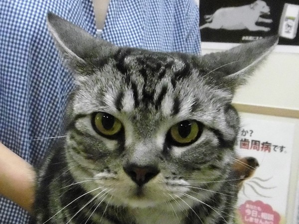 8 月 19 日の写真_c0174644_17425738.jpg